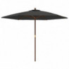 Sonnenschirm mit Holzmast Anthrazit 299x240 cm