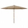 Sonnenschirm mit Holzmast Taupe 400x273 cm
