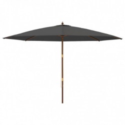 Sonnenschirm mit Holzmast Anthrazit 400x273 cm