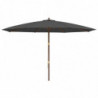 Sonnenschirm mit Holzmast Anthrazit 400x273 cm