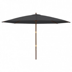 Sonnenschirm mit Holzmast Schwarz 400x273 cm