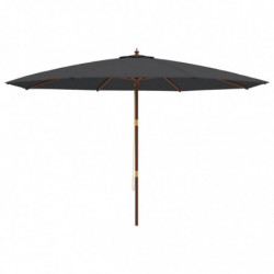Sonnenschirm mit Holzmast Schwarz 400x273 cm
