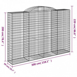 Gabionen mit Hochbogen 5 Stk. 300x50x200/220cm Verzinktes Eisen