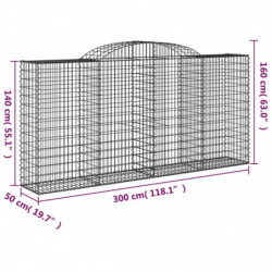 Gabionen mit Hochbogen 20 Stk 300x50x140/160cm Verzinktes Eisen