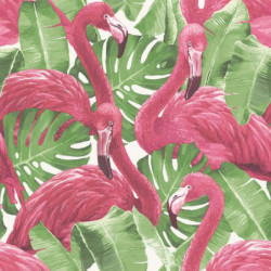 Noordwand Tapete Flamingo...