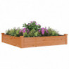 Hochbeet mit Einsatz Braun 120x120x25 cm Massivholz Tanne