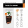 Capi Blumentopf Nature Row Kugel 40 x 32 cm Anthrazit KRWZ270