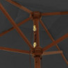 Sonnenschirm mit Holzmast Anthrazit 198x198x231 cm
