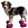 FitPAWS Gleichgewichtstrainer Mini K9FITbone 2 Stk. 29x16,5x6 cm