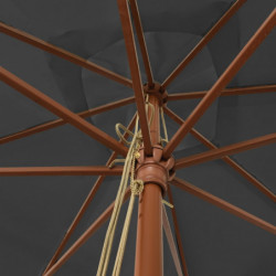Sonnenschirm mit Holzmast Anthrazit 300x300x273 cm