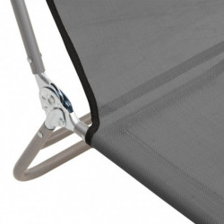 Sonnenliegen Klappbar 2 Stk. Grau Textilene und Stahl