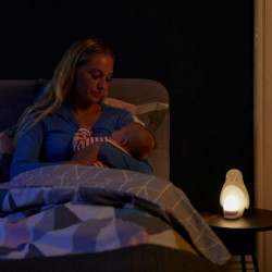 Tommee Tippee 2-in-1...
