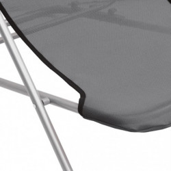 Strandstühle 2 Stk. Grau Textilene & Pulverbeschichteter Stahl