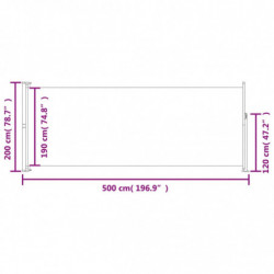 Seitenmarkise Ausziehbar 200x500 cm Grau