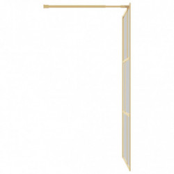 Duschwand für Begehbare Dusche ESG Klarglas Golden 100x195cm