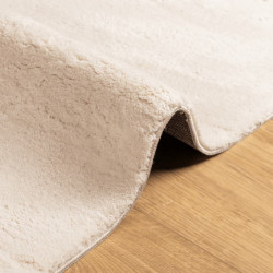 Teppich HUARTE Kurzflor Weich und Waschbar Beige 120x170 cm