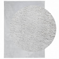 Teppich HUARTE Kurzflor Weich und Waschbar Grau 120x170 cm