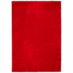 Teppich HUARTE Kurzflor Weich und Waschbar Rot 140x200 cm
