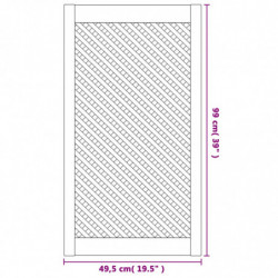 Schranktüren 2 Stk. Gitterdesign 49,5x99 cm Massivholz Kiefer