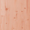 Hochbeet Lattenzaun-Design 100x50x70 cm Massivholz Douglasie