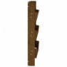 Wand-Pflanzkübel mit 3 Fächern 60x18,5x110 cm Honigbraun Holz
