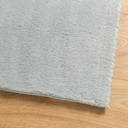 Teppich HUARTE Kurzflor Weich und Waschbar Blau 200x280 cm