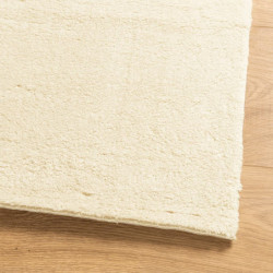 Teppich HUARTE Kurzflor Weich und Waschbar Creme 240x340 cm