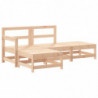 4-tlg. Garten-Lounge-Set Massivholz Kiefer