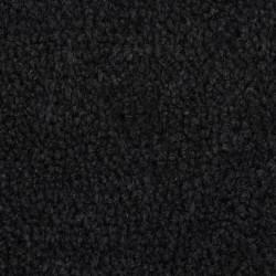 Fußmatte Schwarz 50x80 cm Kokosfaser Getuftet