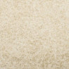 Teppich Shaggy Hochflor Modern Golden 80x150 cm