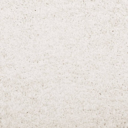 Teppich Shaggy Hochflor Modern Creme 80x150 cm