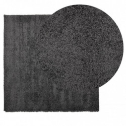 Teppich Shaggy Hochflor Modern Anthrazit 160x160 cm