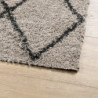 Teppich Shaggy Hochflor Modern Beige und Anthrazit 160x230 cm