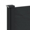 Seitenmarkise Ausziehbar Schwarz 140x300 cm