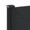 Seitenmarkise Ausziehbar Schwarz 120x600 cm