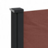 Seitenmarkise Ausziehbar Braun 160x500 cm