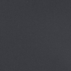 Seitenmarkise Ausziehbar Schwarz 140x600 cm