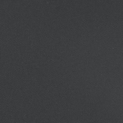 Seitenmarkise Ausziehbar Schwarz 100x600 cm