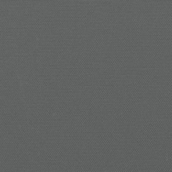 Seitenmarkise Ausziehbar Anthrazit 100x600 cm