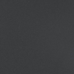 Seitenmarkise Ausziehbar Schwarz 120x600 cm