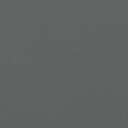Seitenmarkise Ausziehbar Anthrazit 160x600 cm
