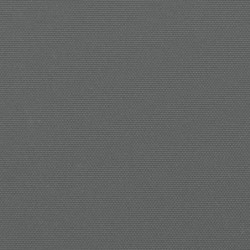 Seitenmarkise Ausziehbar Anthrazit 200x600 cm