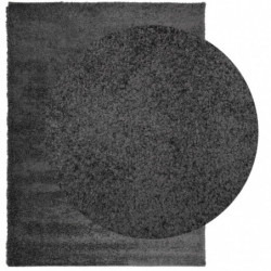 Teppich Shaggy Hochflor Modern Anthrazit 240x340 cm