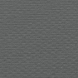 Seitenmarkise Ausziehbar Anthrazit 220x600 cm
