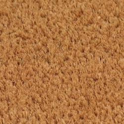 Fußmatten 2 Stk. Natur 40x60 cm Kokosfaser Getuftet