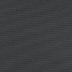 Seitenmarkise Ausziehbar Schwarz 100x1000 cm