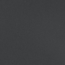 Seitenmarkise Ausziehbar Schwarz 140x1000 cm
