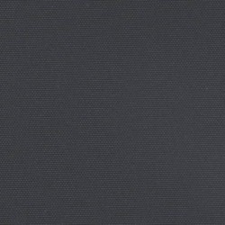Seitenmarkise Ausziehbar Schwarz 160x1000 cm