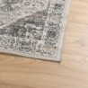 Teppich ARBIZU Indoor und Outdoor Vintage-Design 240x340 cm