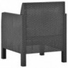 2-tlg. Garten-Lounge-Set Bea mit Kissen PP Rattan Anthrazit